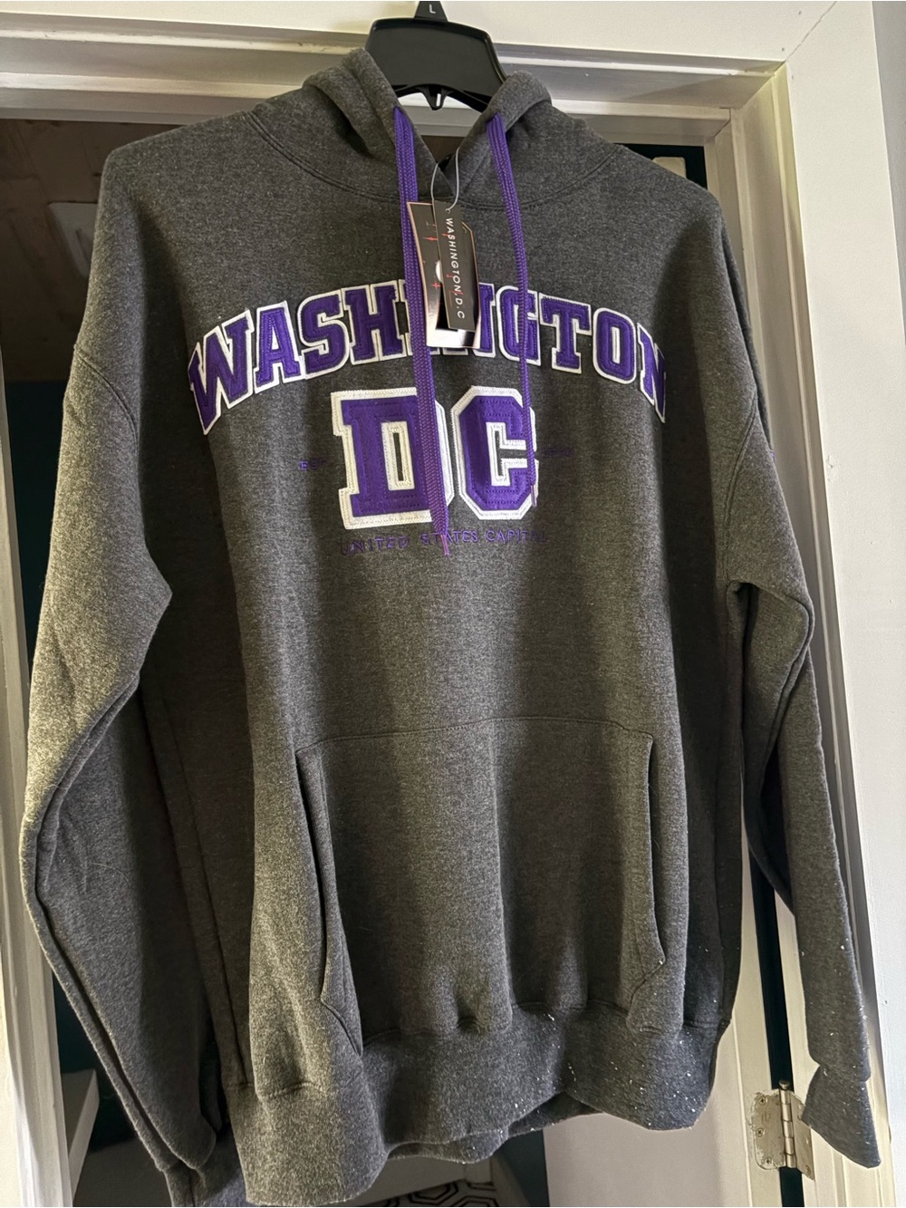 Washington DC Hooded Sweatshirt - Charcoal with Purple Accent